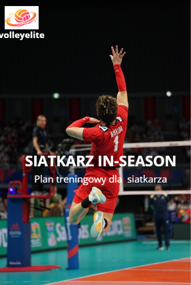 Siatkarz w formie.