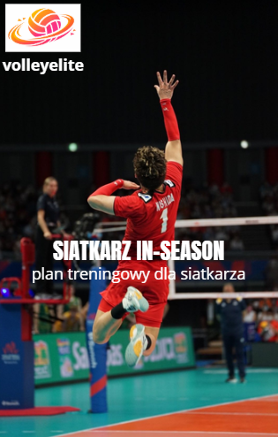 Siatkarz w formie.